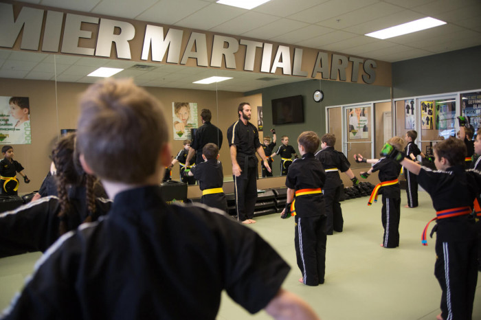 Premier Martial Arts Franchise Information 2020 Cost