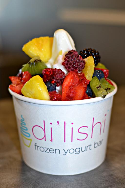 di'lishi frozen yogurt bar Franchise Information 2021 Cost, Fees and